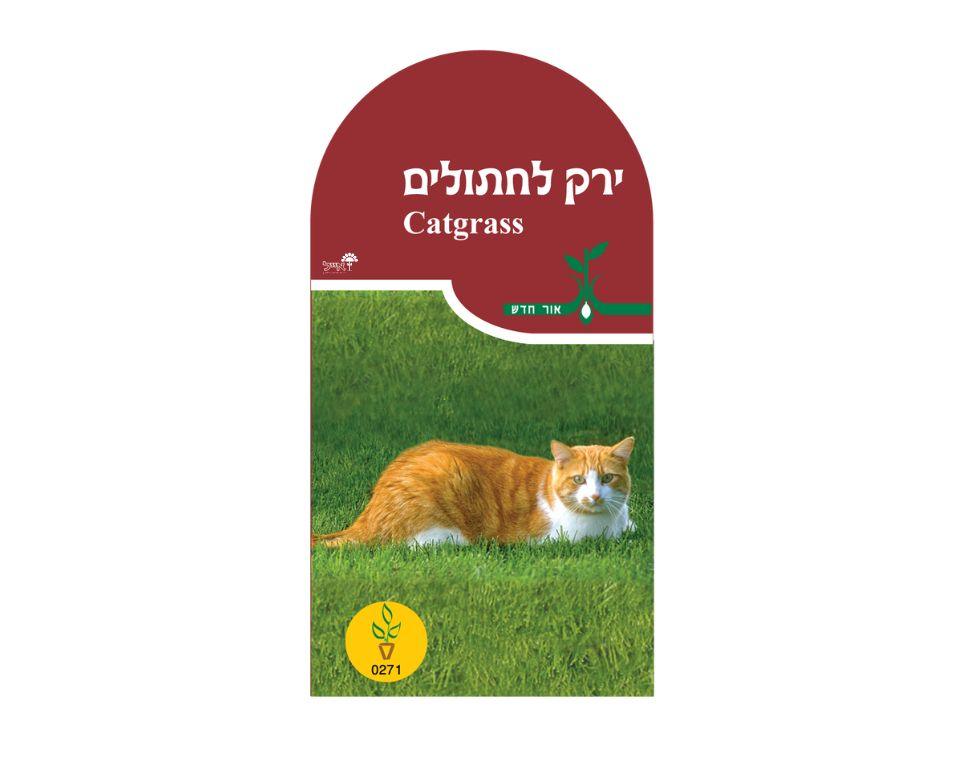 תמונת מוצר 1