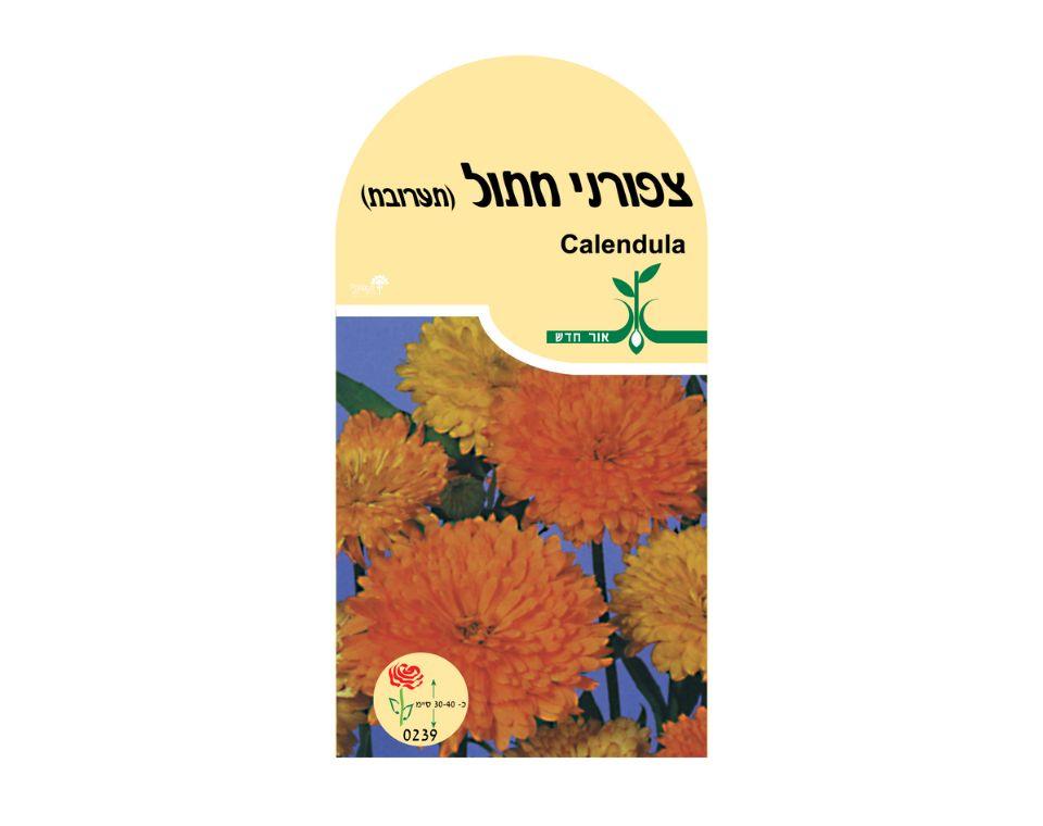 תמונה ממוזערת 1