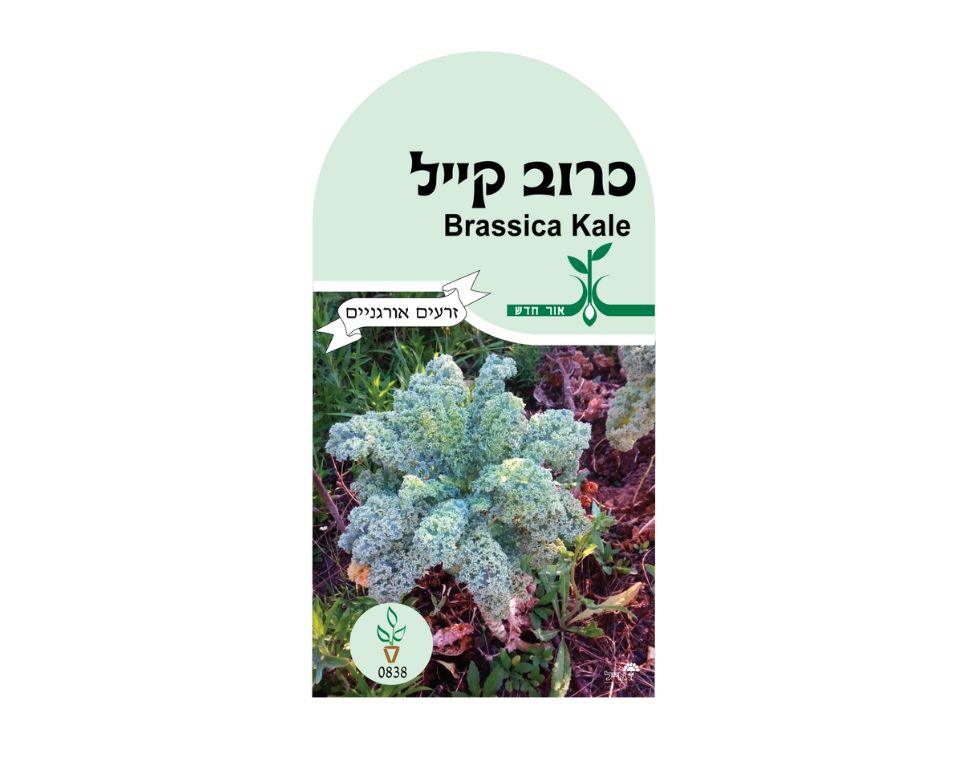 תמונת מוצר 1