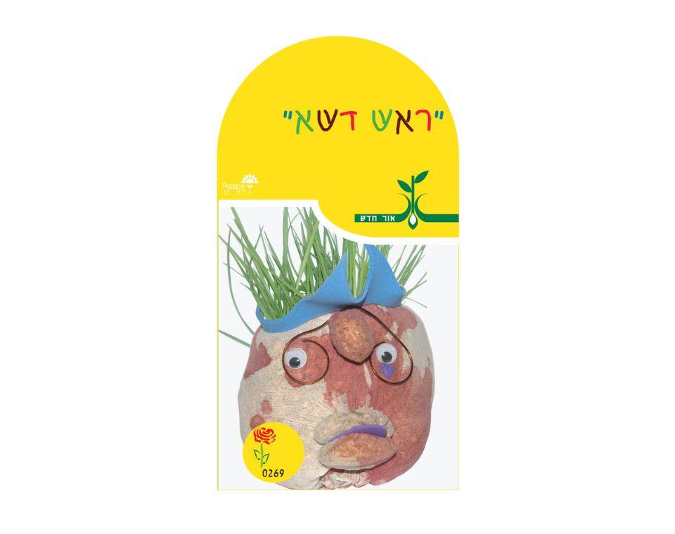 תמונת מוצר 1