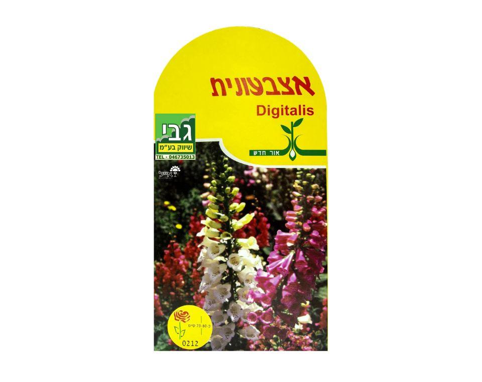 תמונה ממוזערת 1