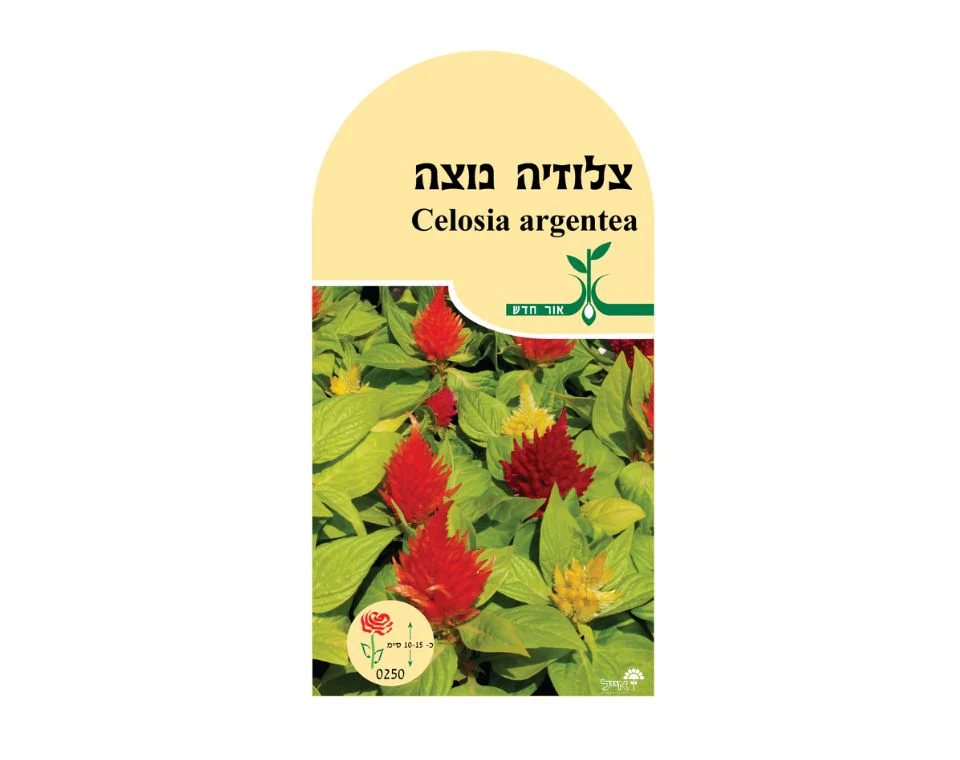 תמונת מוצר 1