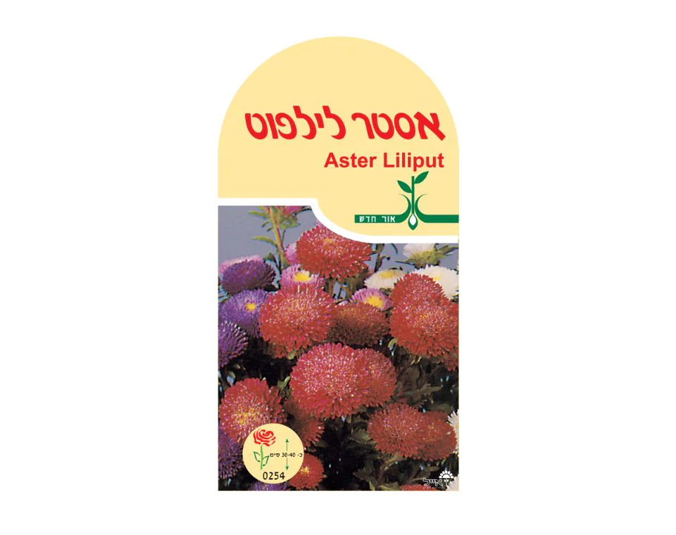 תמונת מוצר 1