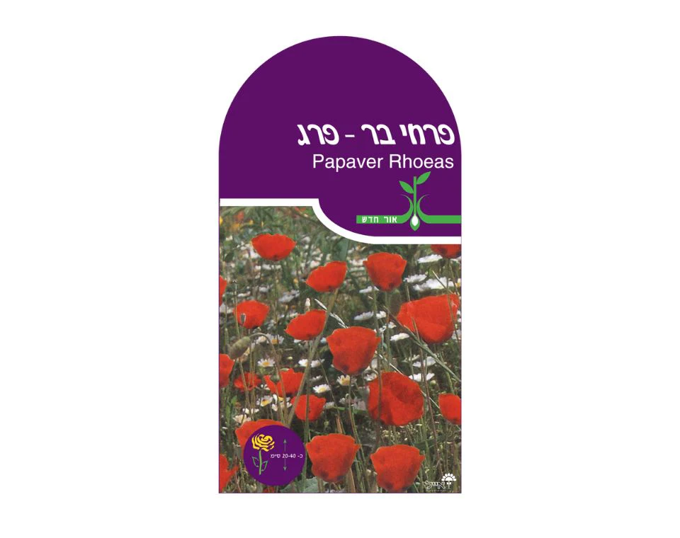 תמונת מוצר 1