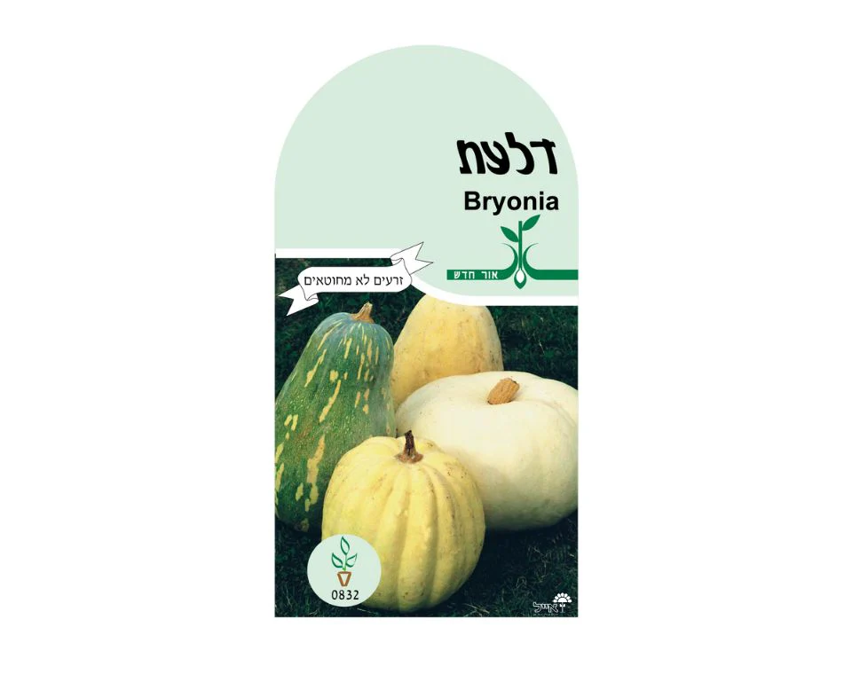 תמונת מוצר 1