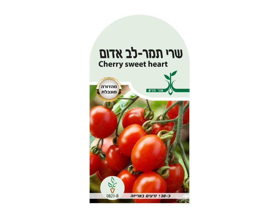 תמונת מוצר 1