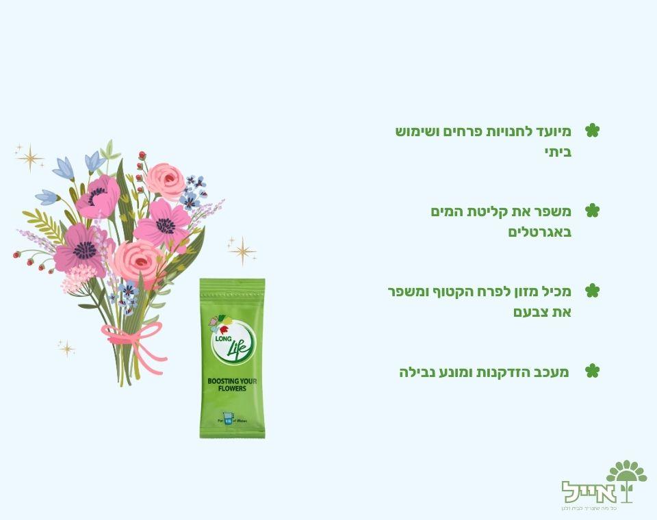 תמונת מוצר 2