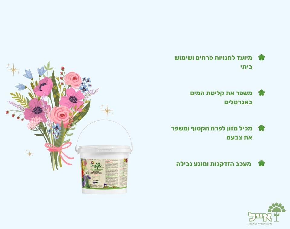 תמונת מוצר 2