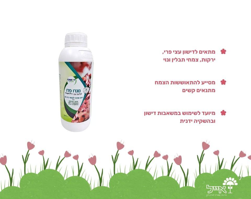 תמונה ממוזערת 2