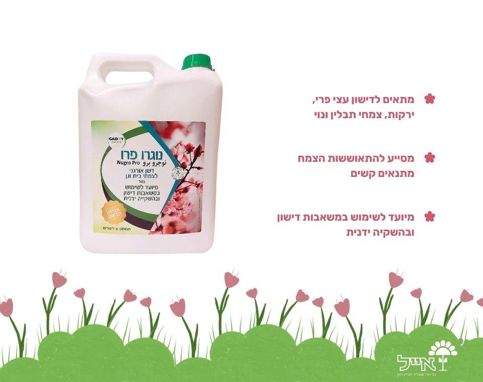 תמונת מוצר 2
