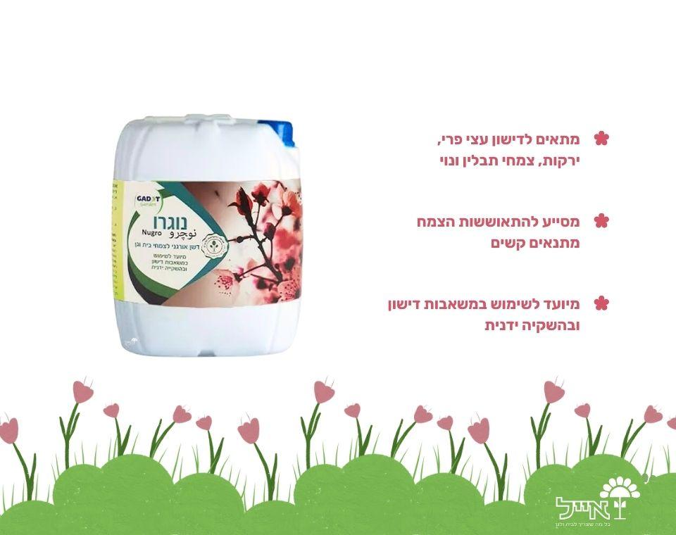תמונת מוצר 2