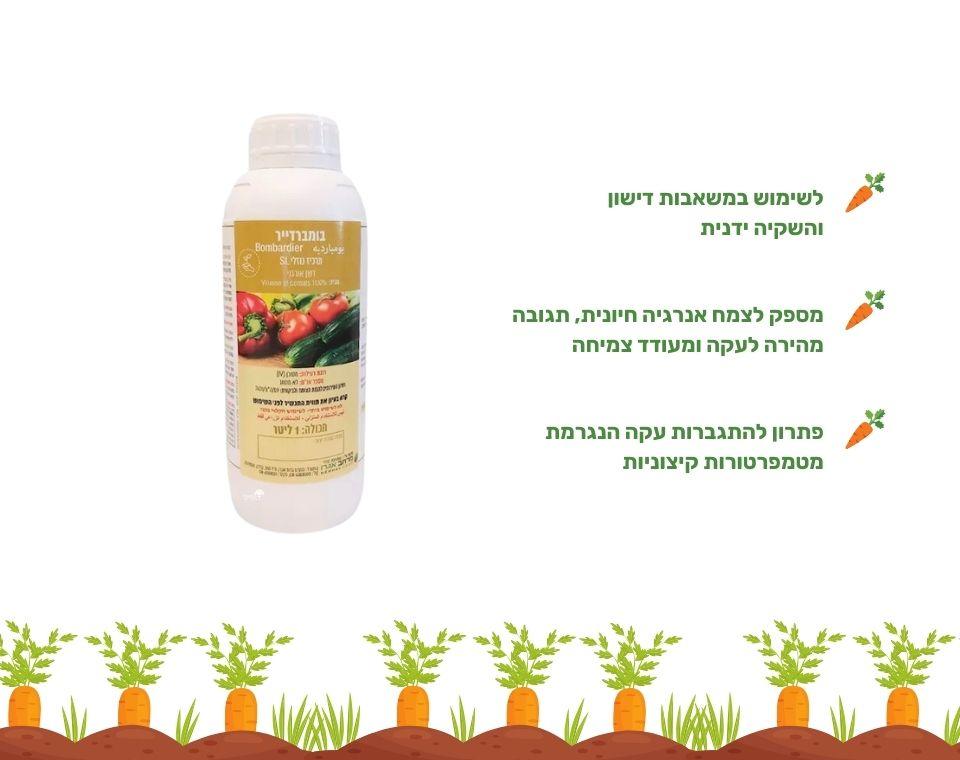 תמונה ממוזערת 2