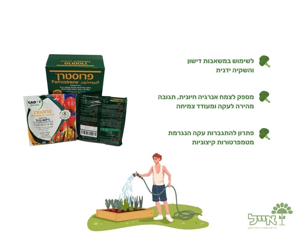 תמונת מוצר 2