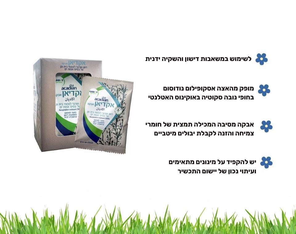 תמונת מוצר 4