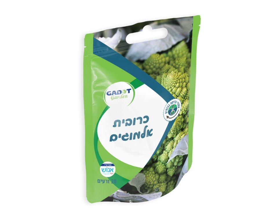 תמונת מוצר 1