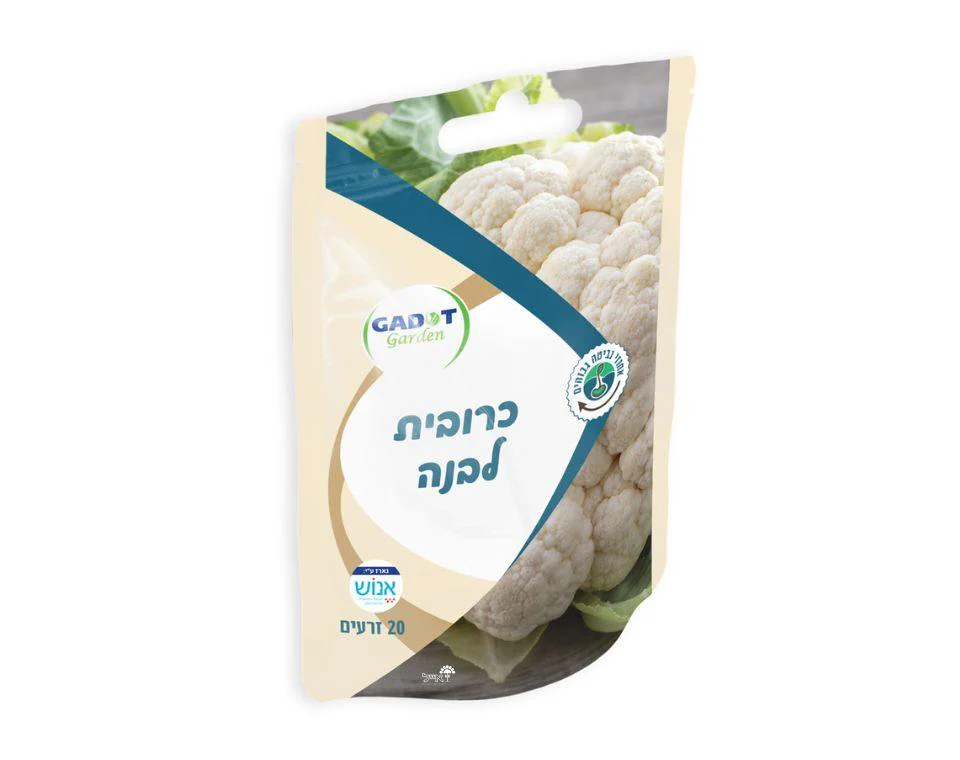 תמונת מוצר 1