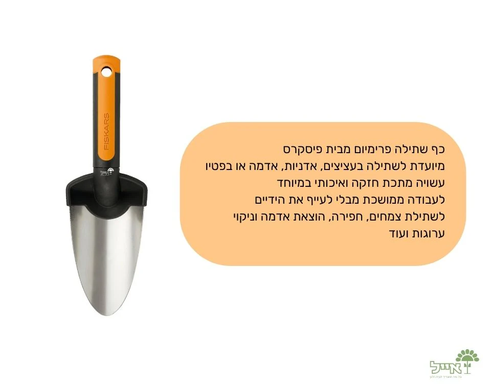 תמונת מוצר 2