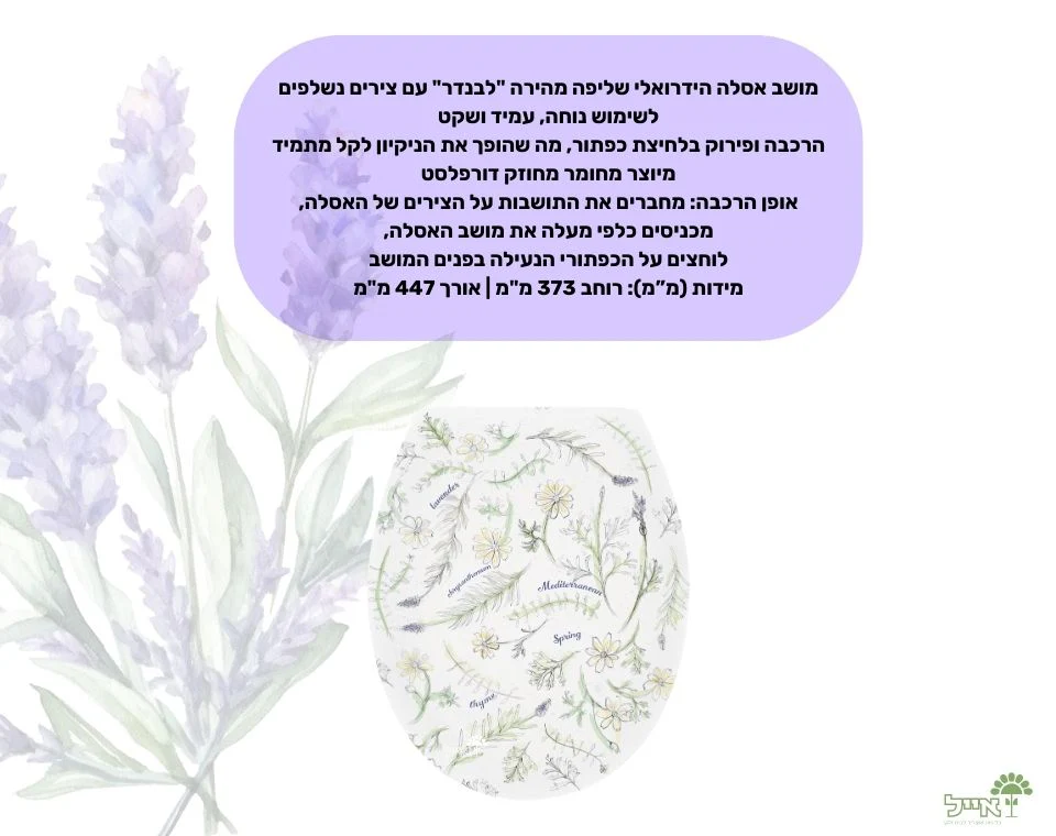 תמונת מוצר 2
