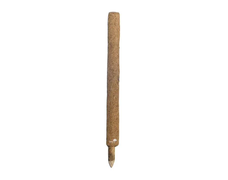 תמונת מוצר 1