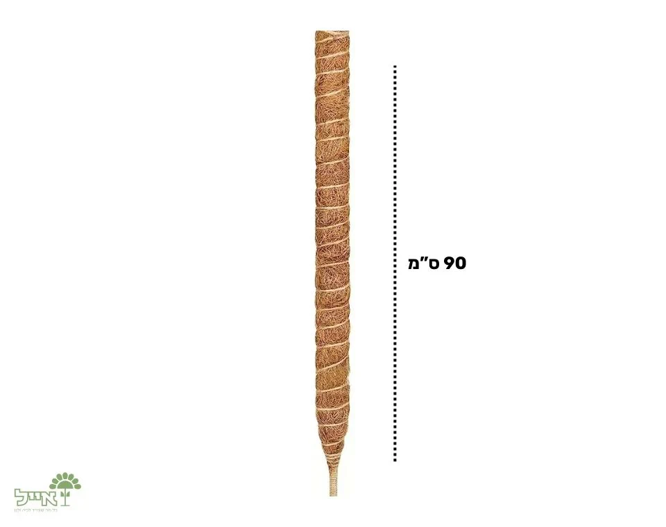 תמונת מוצר 3