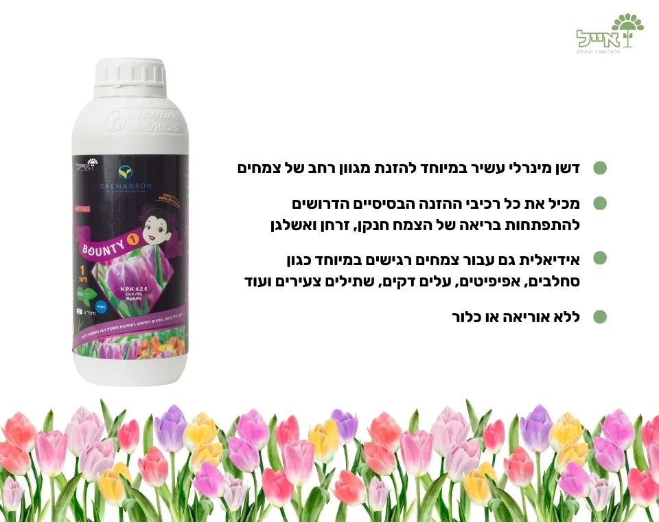 תמונת מוצר 2