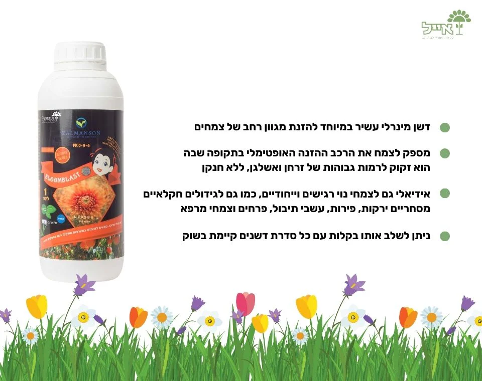 תמונת מוצר 2