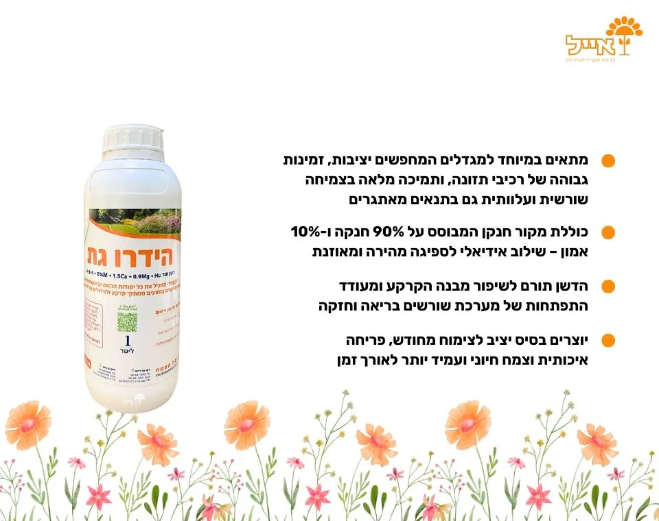 תמונת מוצר 2