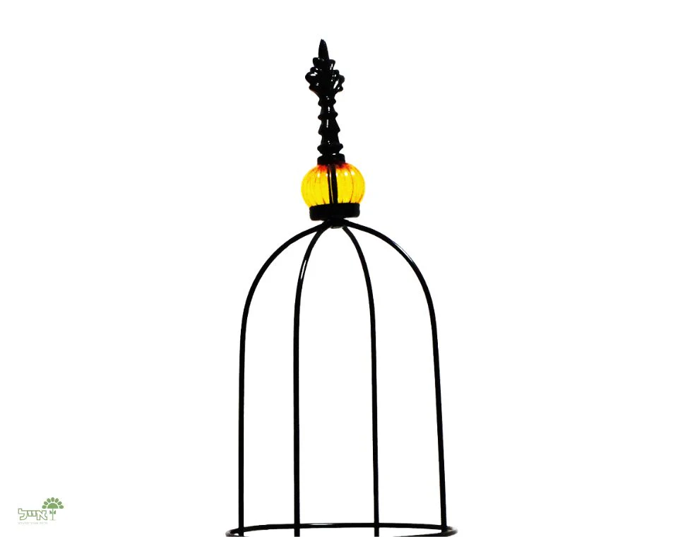 תמונת מוצר 2